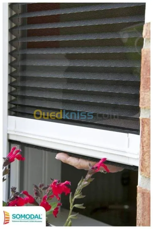 Menuiserie aluminium 