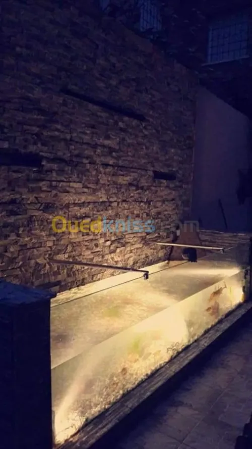 réalisation de piscines 