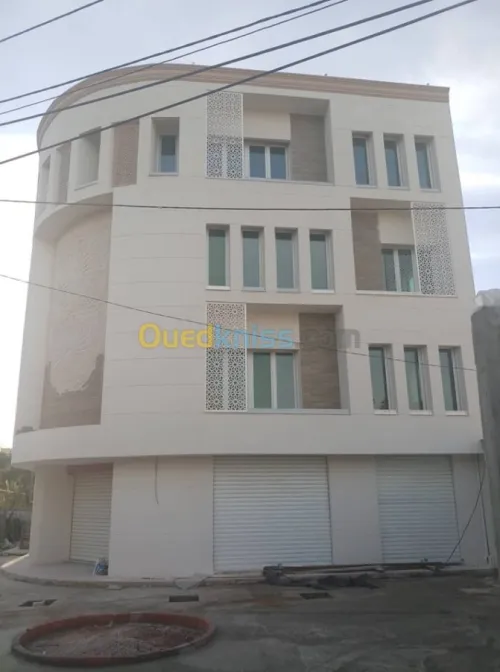 Revêtement des façades en monocouche