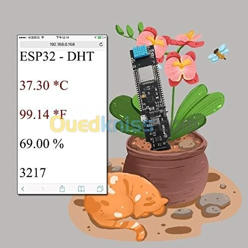 ESP32 DHT11capteur température humidit arduino