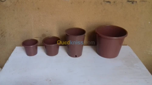pots des fleurs 