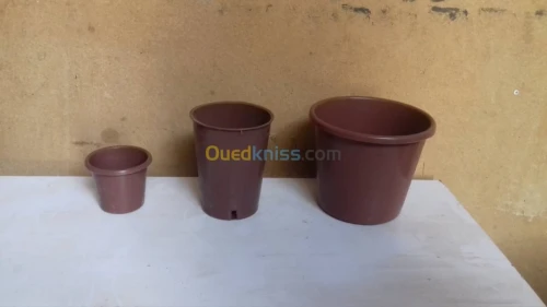pots des fleurs 