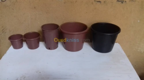 pots des fleurs 
