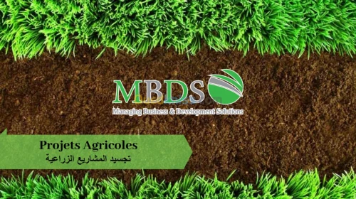 Etudes Agricoles-الدراسات الفلاحية
