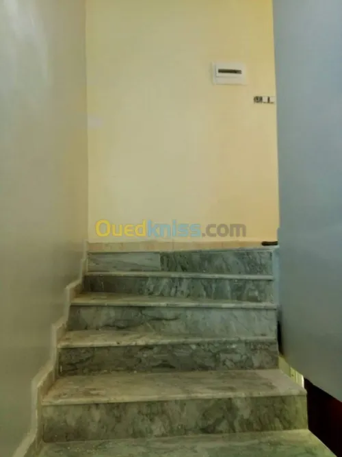 Construction & Décoration