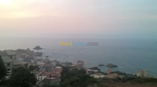 Vente Terrain Tipaza Tipaza