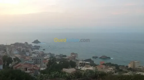 Vente Terrain Tipaza Tipaza