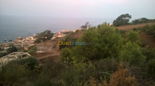 Vente Terrain Tipaza Tipaza