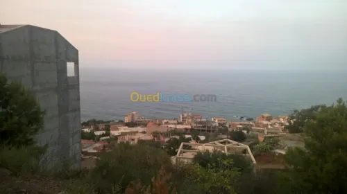 Vente Terrain Tipaza Tipaza
