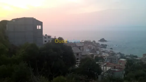 Vente Terrain Tipaza Tipaza