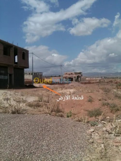 Vente Terrain Ain defla Djelida