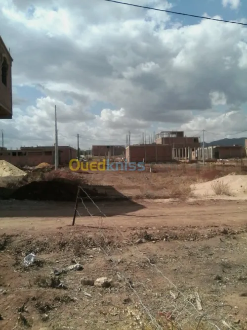 Vente Terrain Ain defla Djelida