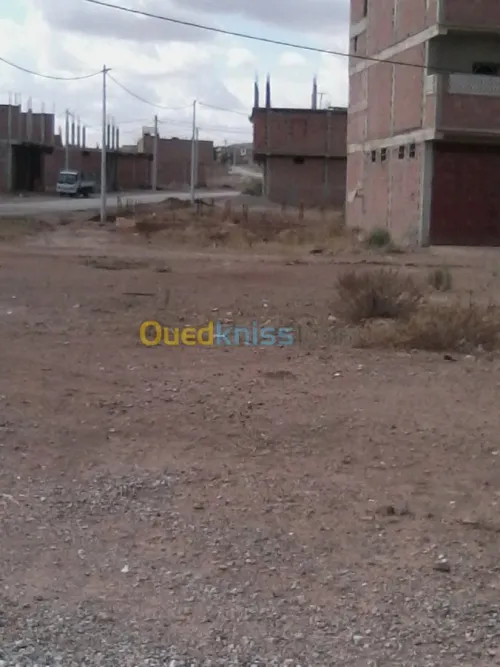 Vente Terrain Ain defla Djelida