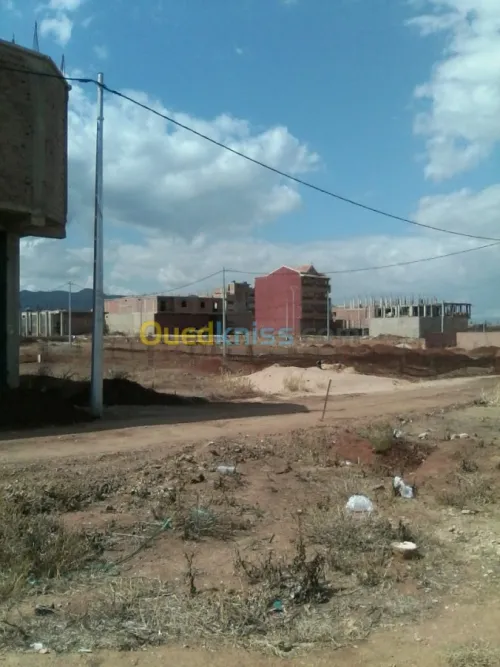 Vente Terrain Ain defla Djelida