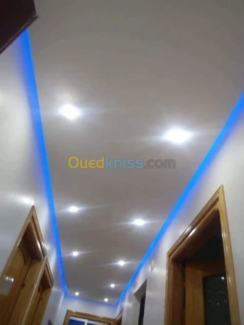 Placoplâtre.pvc.spott