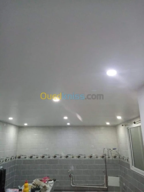 Placoplâtre.pvc.spott