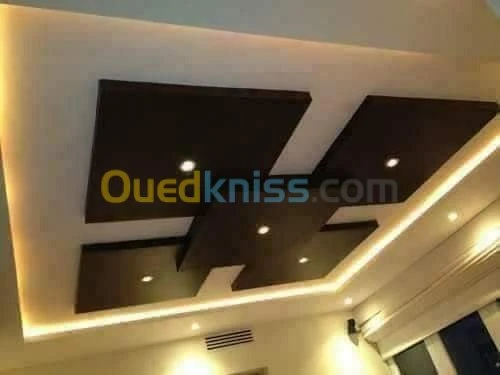 Placoplâtre.pvc.spott