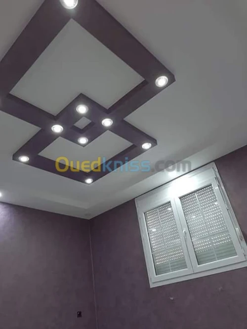 Placoplâtre.pvc.spott