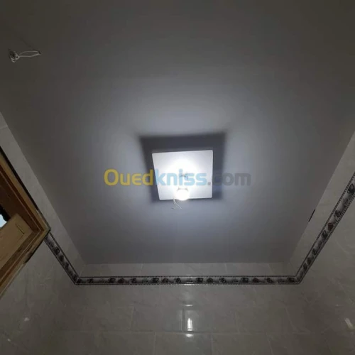 Placoplâtre.pvc.spott