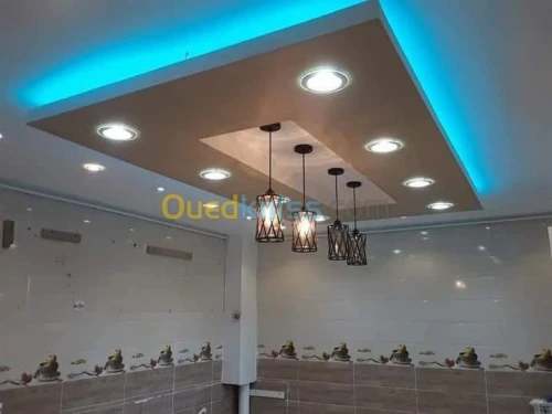 Placoplâtre.pvc.spott