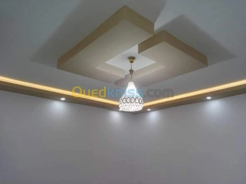 Placoplâtre.pvc.spott