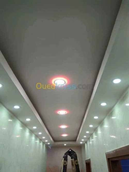 Placoplâtre.pvc.spott