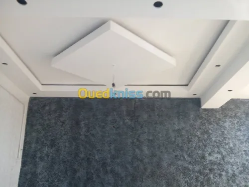 Peinture et placo-platre BA13