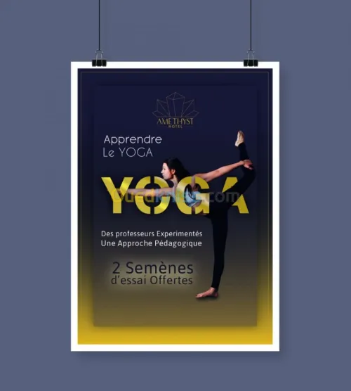 infographe / graphiste / infographiste