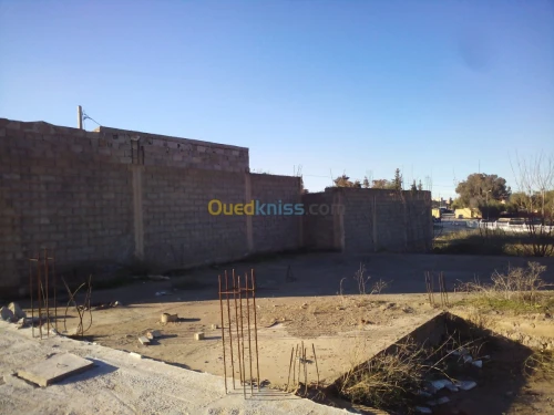 Vente Terrain Tlemcen Tlemcen