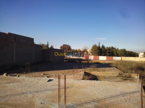 Vente Terrain Tlemcen Tlemcen