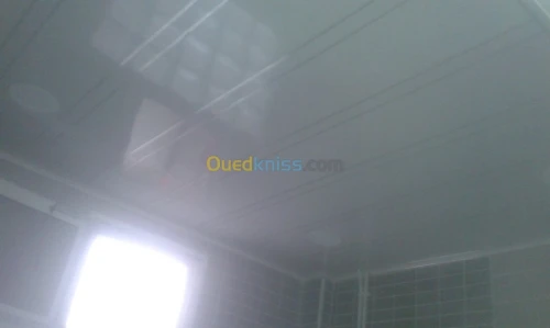 plafond pvc