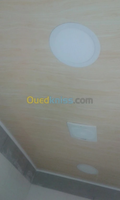 plafond pvc