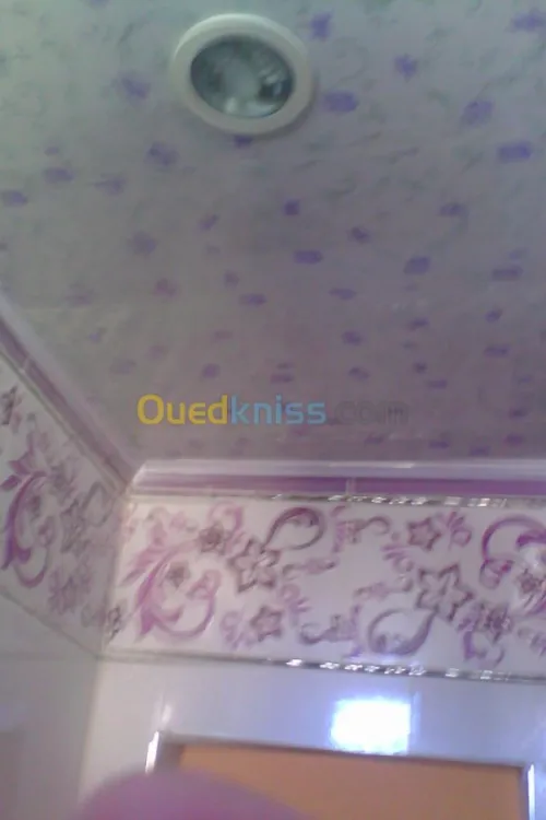 plafond pvc