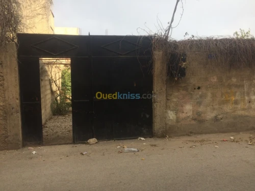 Vente Terrain Blida Beni tamou