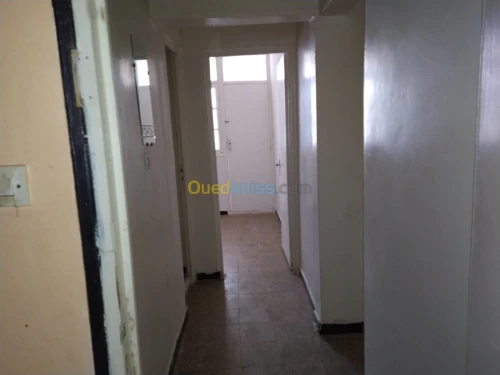 Vente Appartement F3 Ain temouchent Ain temouchent