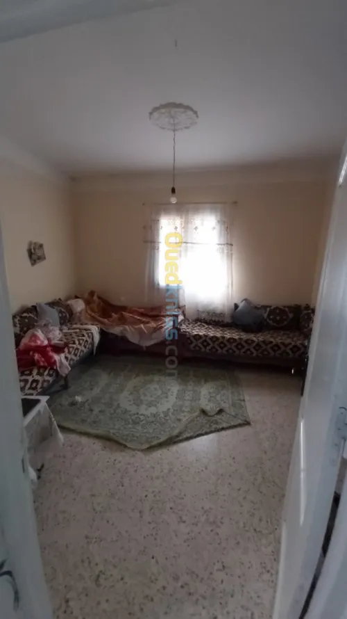 Vente Local Tlemcen Djebala