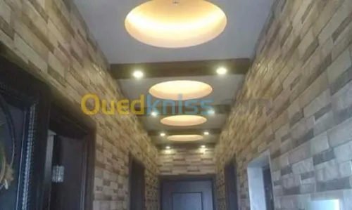 Tout les dicoration plâtre et peinture