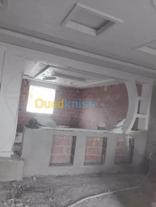 Tout les dicoration plâtre et peinture