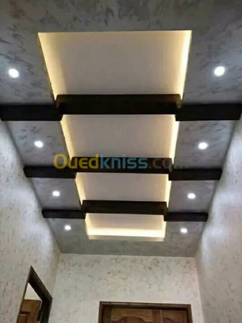 Tout les dicoration plâtre et peinture