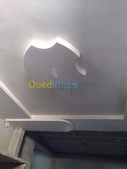 Tout les dicoration plâtre et peinture