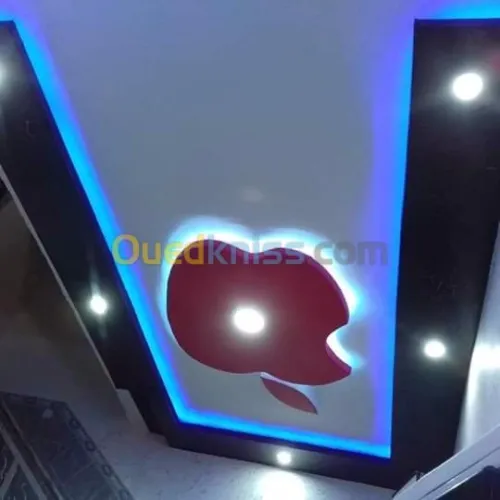 Tout les dicoration plâtre et peinture