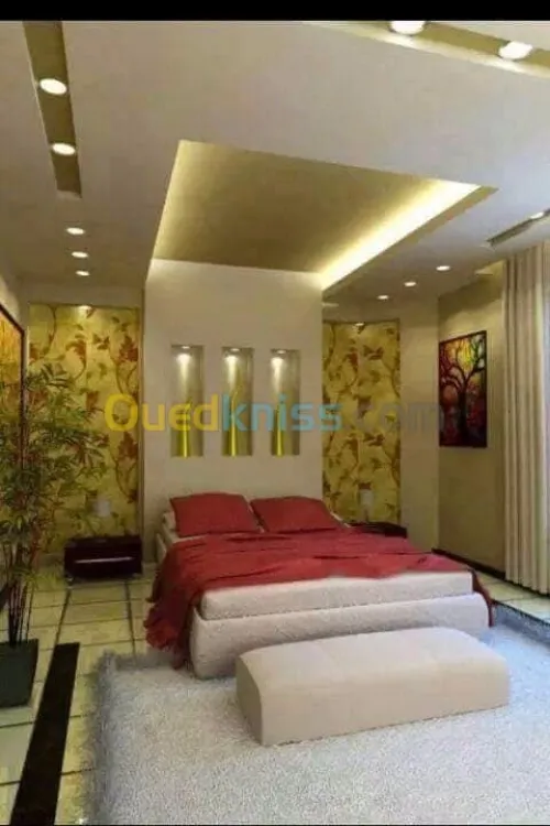 Tout les dicoration plâtre et peinture