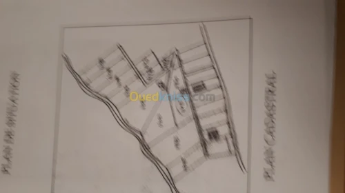 Vente Terrain Alger Bouzareah