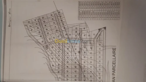 Vente Terrain Alger Bouzareah