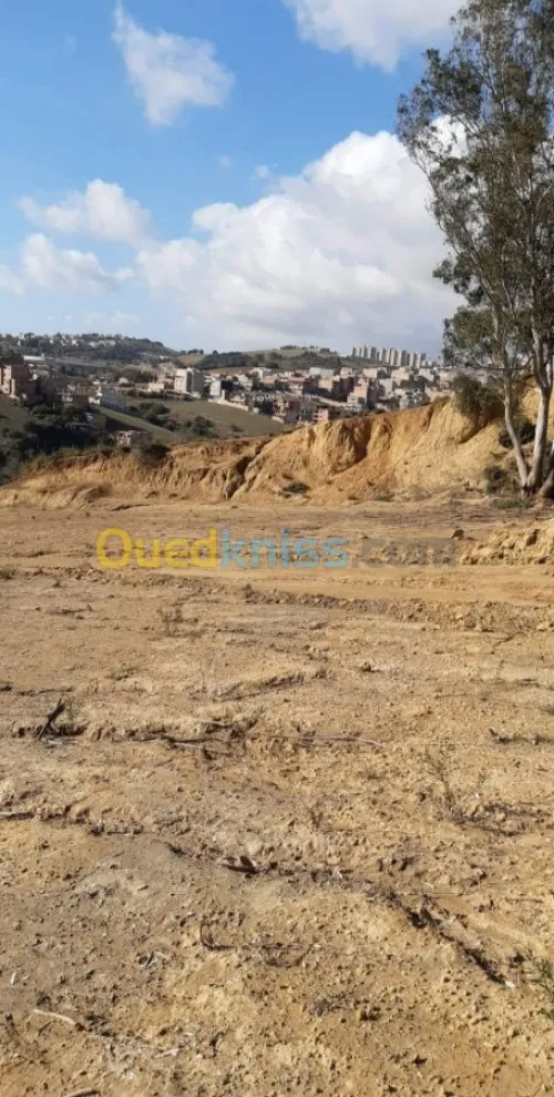 Cherche achat Terrain Boumerdès Boumerdes