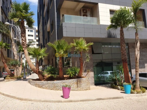 Location Appartement F5 Alger Said hamdine