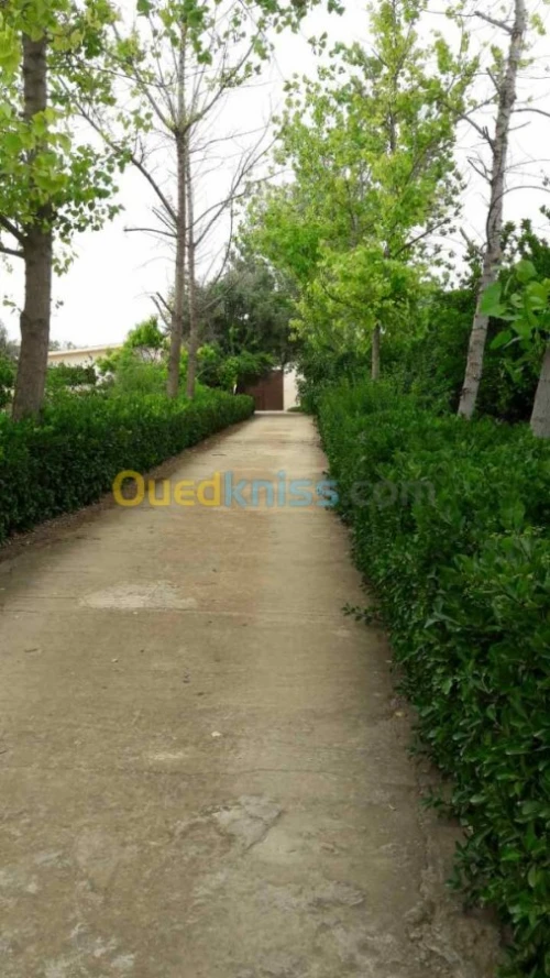 Vente Villa Tlemcen Tlemcen