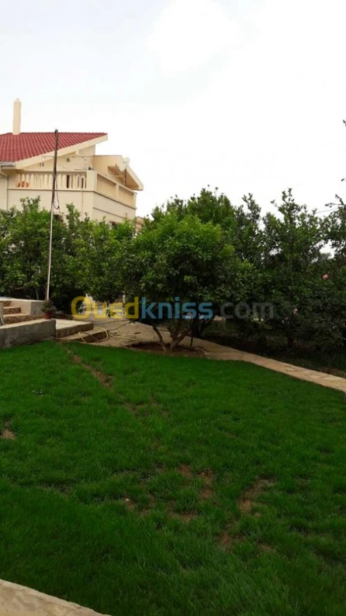 Vente Villa Tlemcen Tlemcen