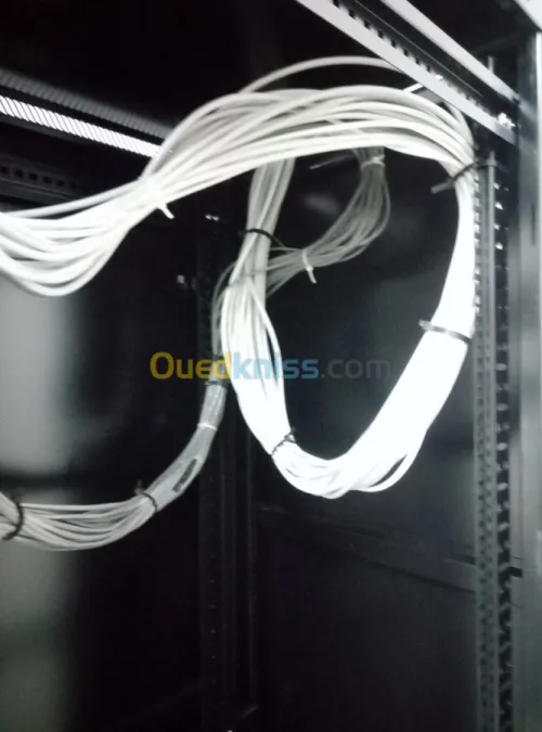 Installation réseaux local & internet 