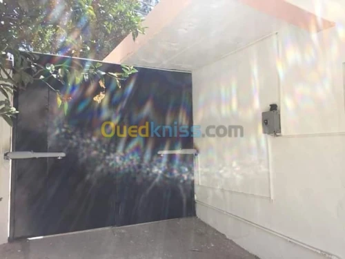 Portails automatique